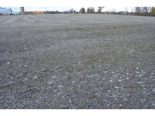 Property photo 18 - 127 Acres Offered in 8 Tracts - Allen & Dekalb County Land